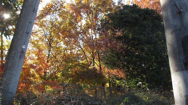 f:id:cafeee:20220107205256j:plain