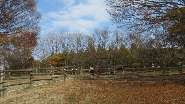 f:id:cafeee:20220108205116j:plain