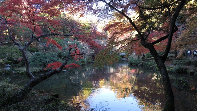 f:id:cafeee:20220112183206j:plain