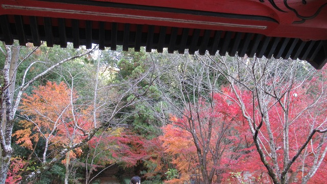 f:id:cafeee:20220113201429j:plain