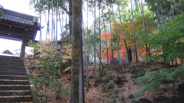 f:id:cafeee:20220113201638j:plain