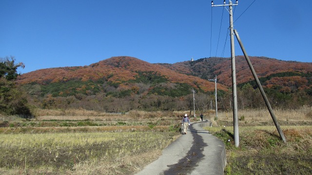 f:id:cafeee:20220118213757j:plain