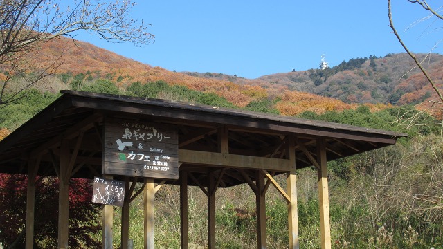 f:id:cafeee:20220118213808j:plain