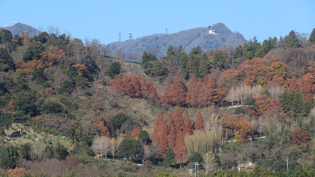 f:id:cafeee:20220119205539j:plain