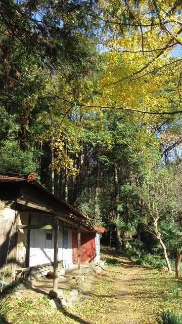 f:id:cafeee:20220119205707j:plain