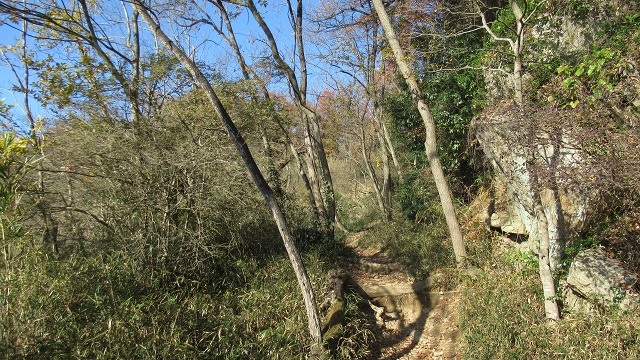 f:id:cafeee:20220119205742j:plain