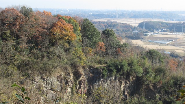 f:id:cafeee:20220119205852j:plain