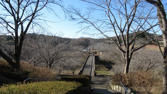 f:id:cafeee:20220120220339j:plain