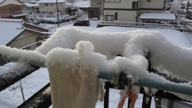 f:id:cafeee:20220123211957j:plain