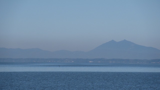 f:id:cafeee:20220124194201j:plain