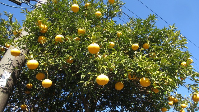 f:id:cafeee:20220124194534j:plain