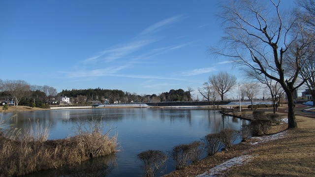 f:id:cafeee:20220126200714j:plain