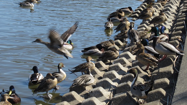 f:id:cafeee:20220227210637j:plain