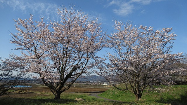 f:id:cafeee:20220405191812j:plain