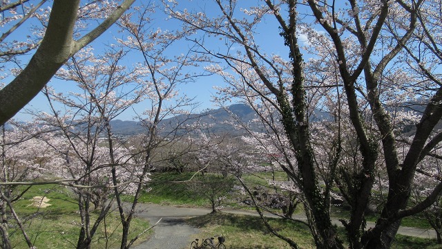 f:id:cafeee:20220407220745j:plain