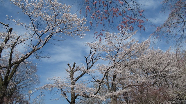 f:id:cafeee:20220412202340j:plain
