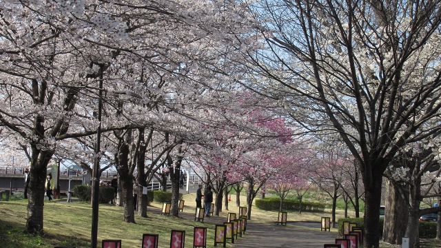 f:id:cafeee:20220412202518j:plain