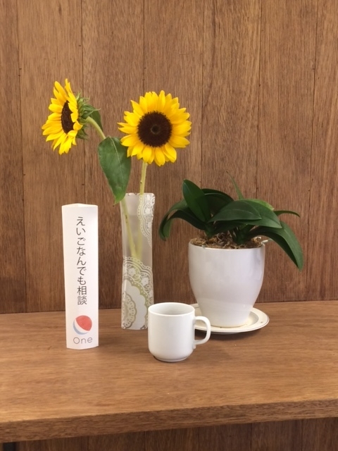 f:id:cafeeigoone:20180602164124j:plain