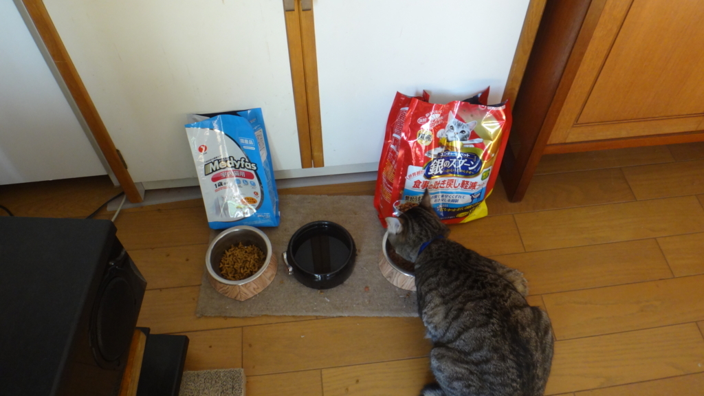 f:id:cafelegume:20171123195929j:plain