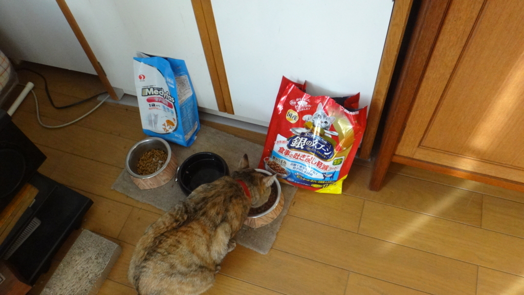 f:id:cafelegume:20171123200111j:plain
