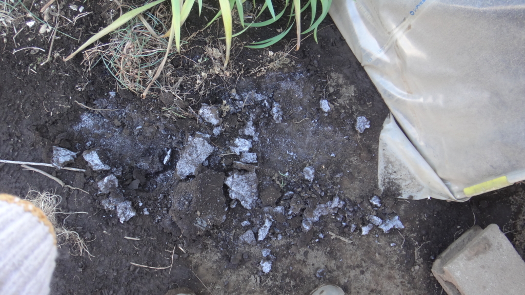 f:id:cafelegume:20171230014136j:plain