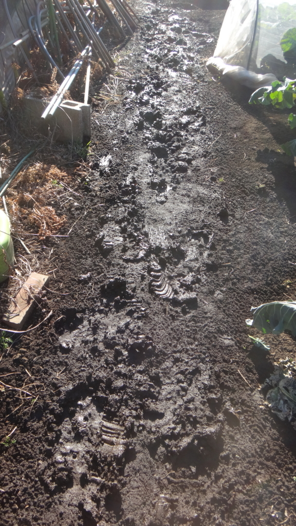 f:id:cafelegume:20171230014229j:plain