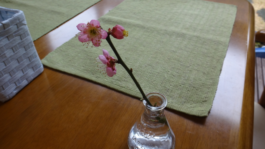 f:id:cafelegume:20180320224132j:plain