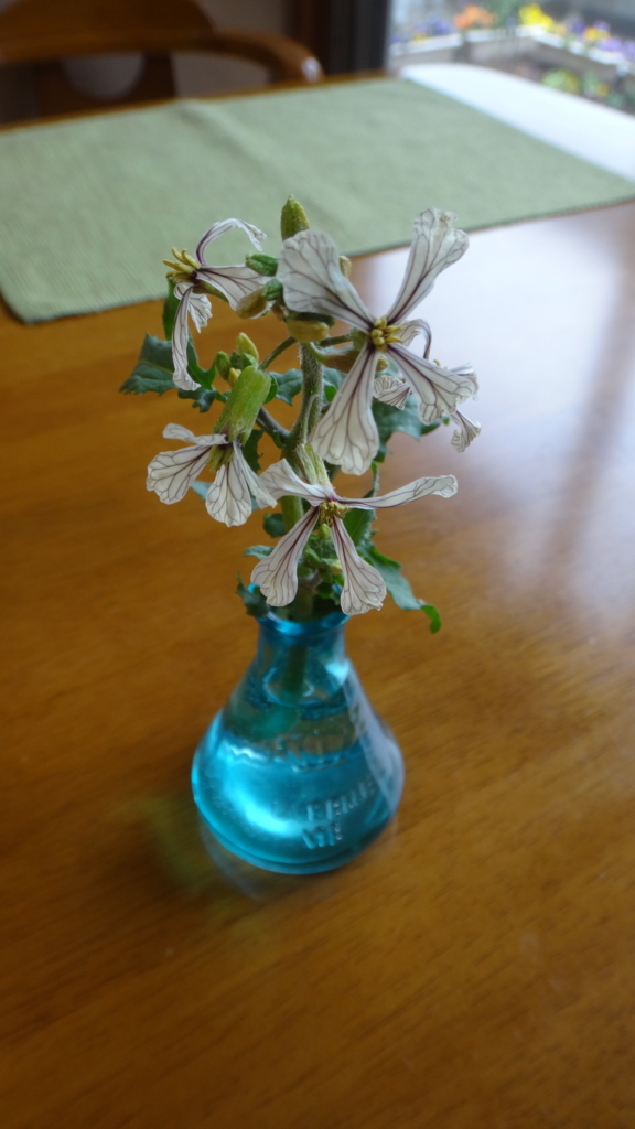 f:id:cafelegume:20180320224443j:plain