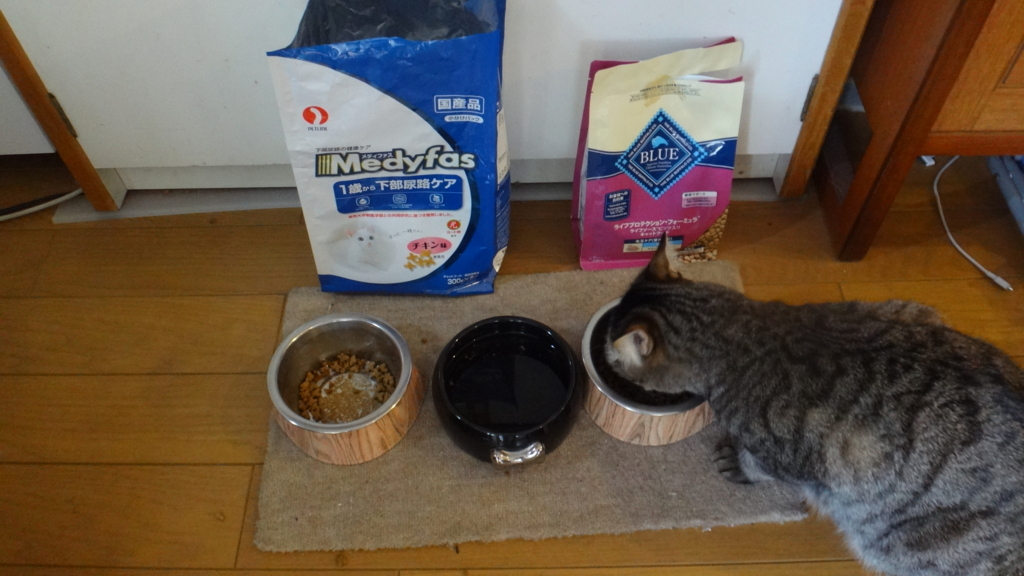 f:id:cafelegume:20180601222417j:plain