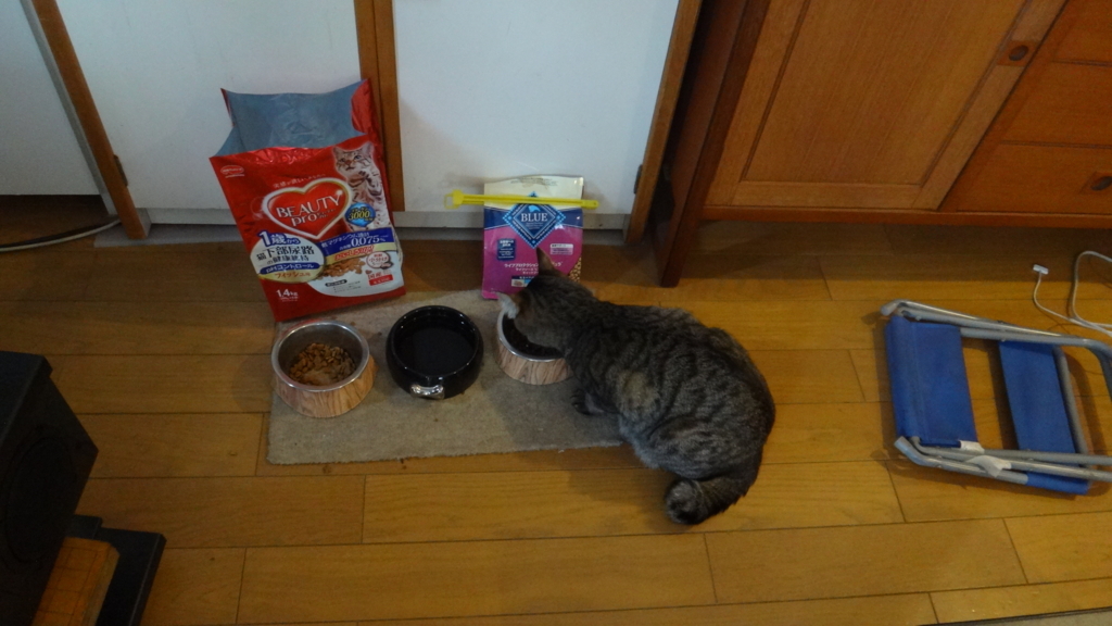 f:id:cafelegume:20180601224334j:plain