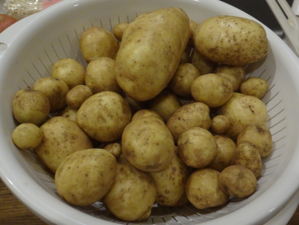 f:id:cafelegume:20180603232216j:plain
