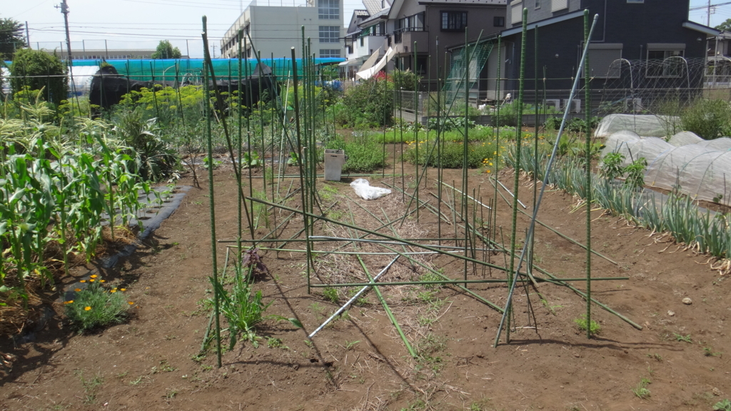 f:id:cafelegume:20180608212955j:plain