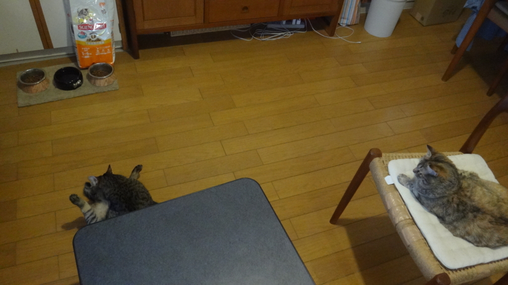 f:id:cafelegume:20180612211642j:plain