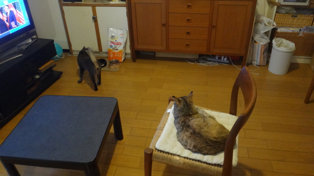 f:id:cafelegume:20180612211911j:plain