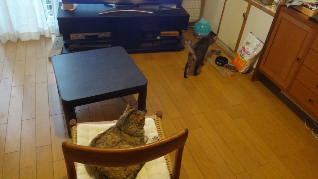 f:id:cafelegume:20180612212052j:plain