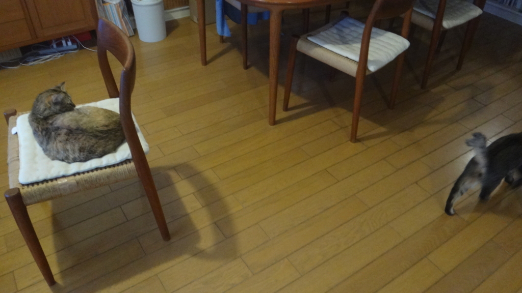 f:id:cafelegume:20180612213027j:plain