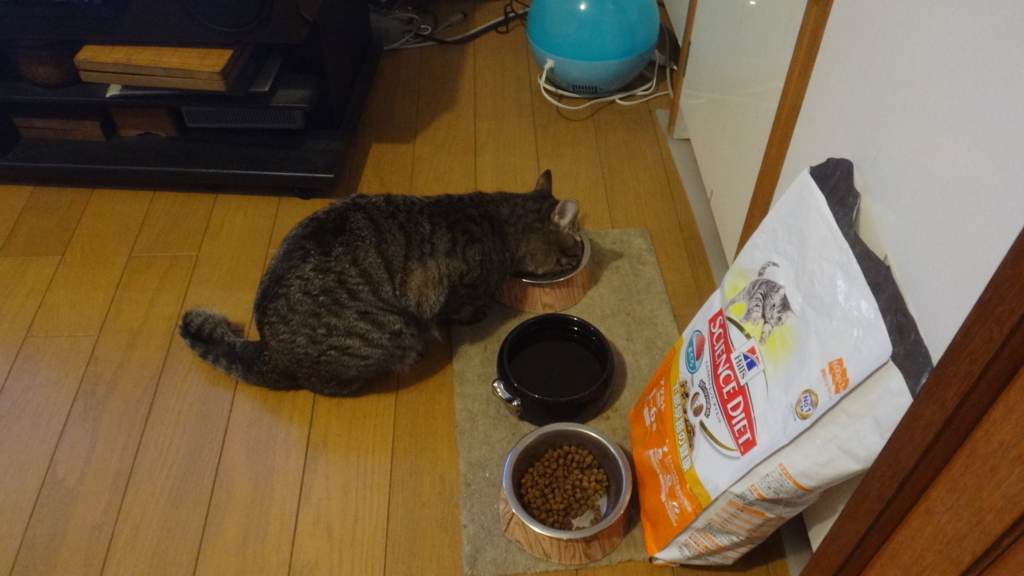 f:id:cafelegume:20180612214124j:plain