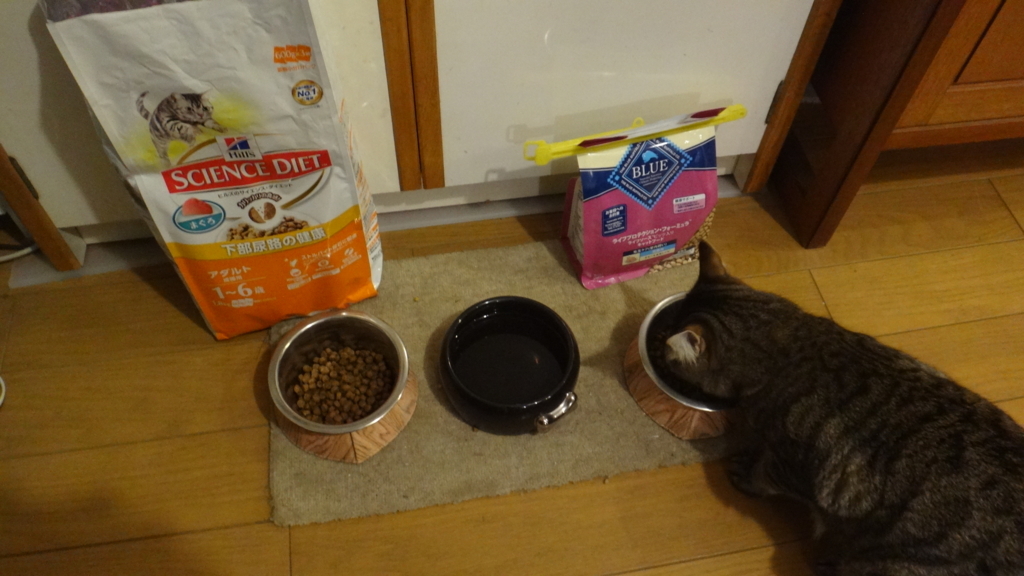 f:id:cafelegume:20180615225403j:plain