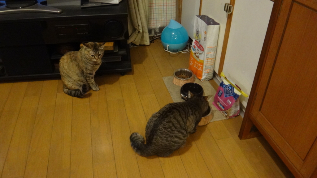 f:id:cafelegume:20180615225608j:plain
