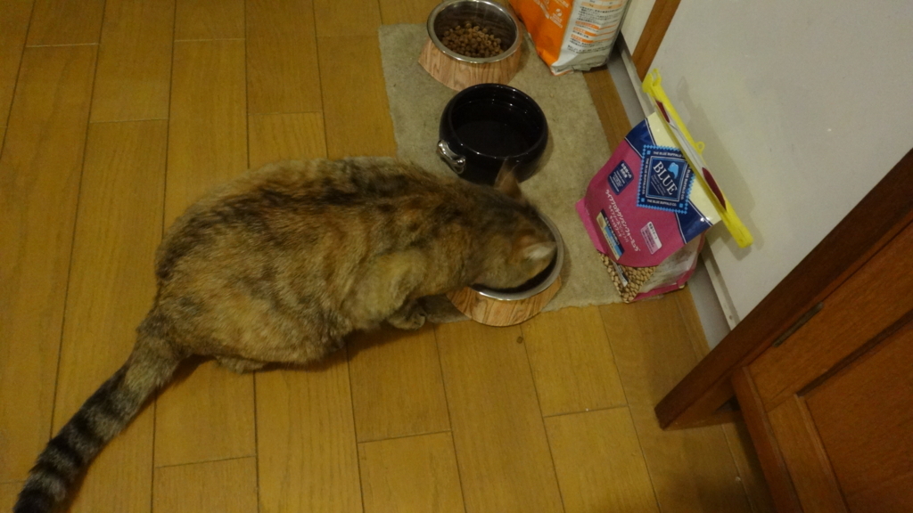 f:id:cafelegume:20180615225912j:plain