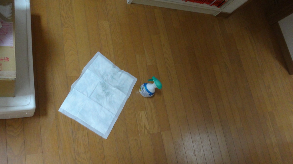 f:id:cafelegume:20180621220240j:plain