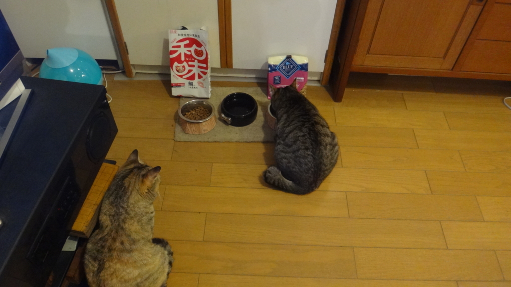f:id:cafelegume:20180621223139j:plain