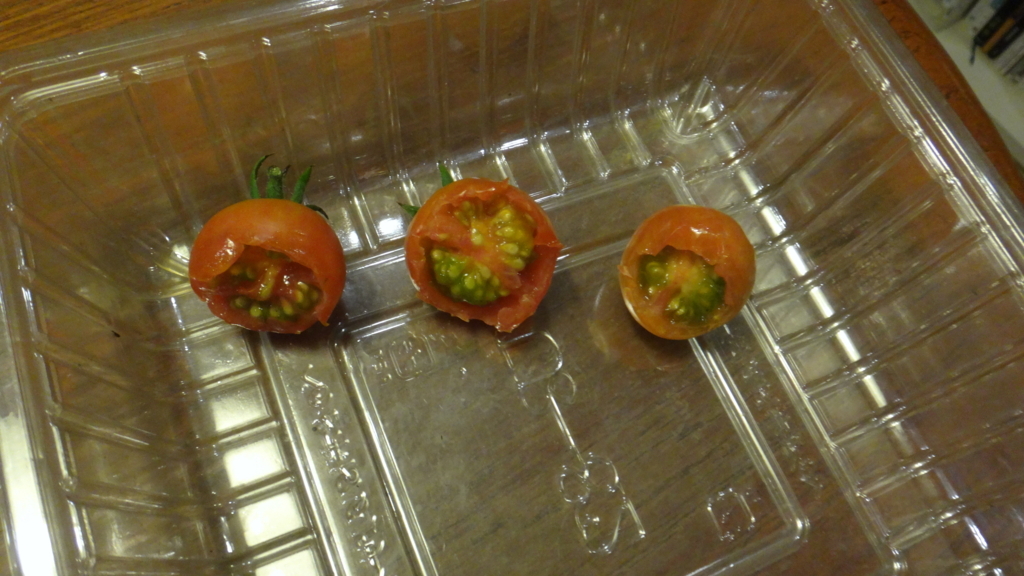 f:id:cafelegume:20180622223914j:plain f:id:cafelegume:20180622223914j:plain