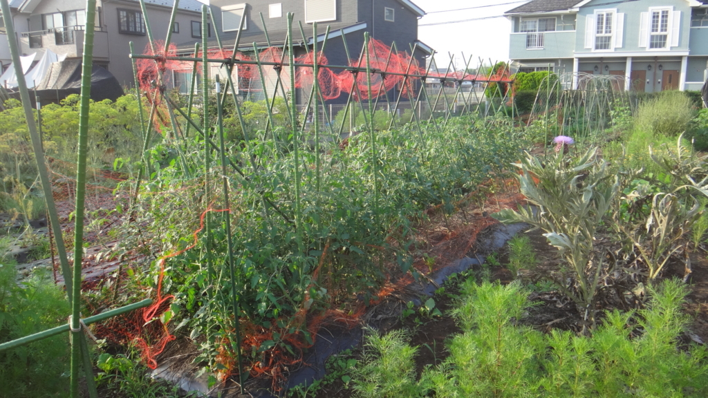 f:id:cafelegume:20180622224540j:plain f:id:cafelegume:20180622224540j:plain