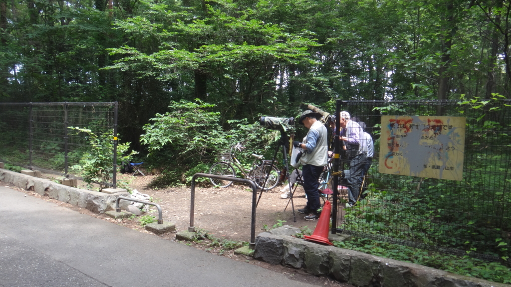 f:id:cafelegume:20180622230833j:plain f:id:cafelegume:20180622230833j:plain