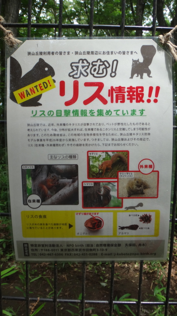 f:id:cafelegume:20180622231458j:plain f:id:cafelegume:20180622231458j:plain