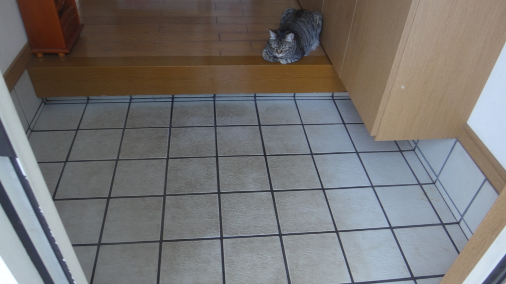 f:id:cafelegume:20180625222052j:plain