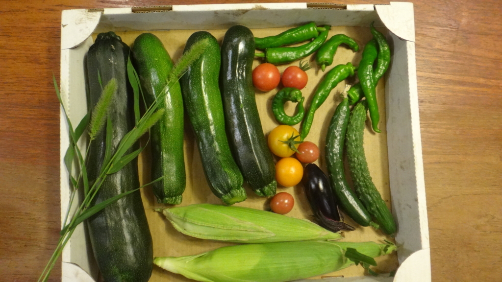 f:id:cafelegume:20180628210011j:plain f:id:cafelegume:20180628210011j:plain