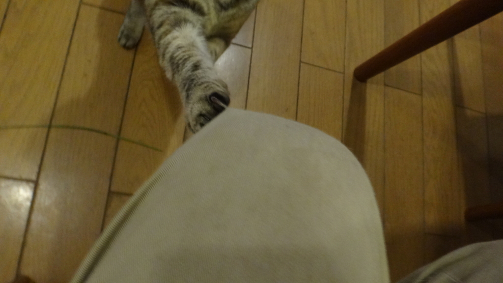f:id:cafelegume:20180628212509j:plain f:id:cafelegume:20180628212509j:plain