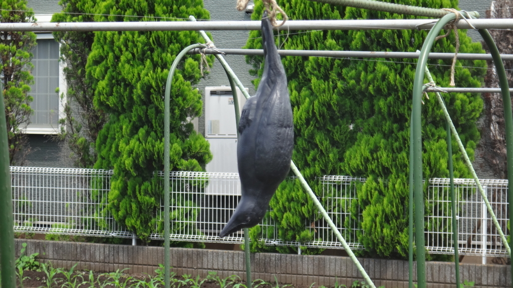 f:id:cafelegume:20180708203811j:plain